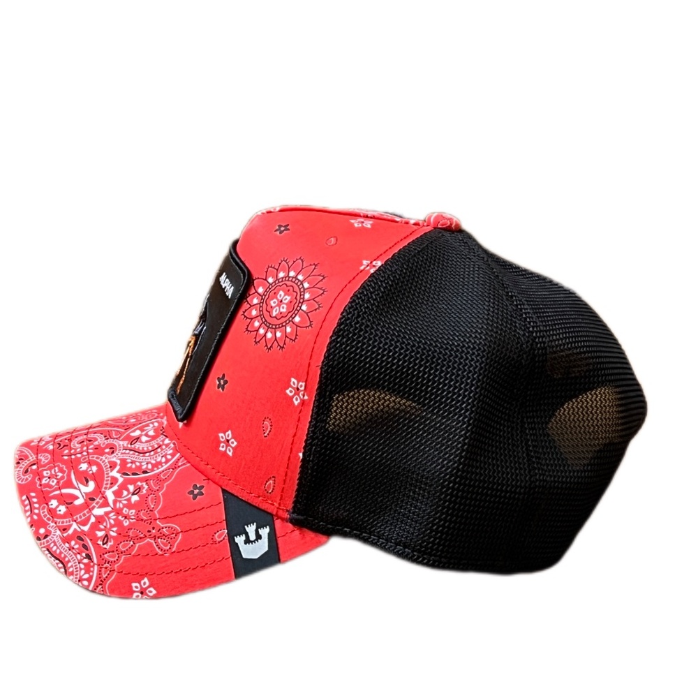 Goorin Bros Alpha Rottweiler - Picture 3 of 5